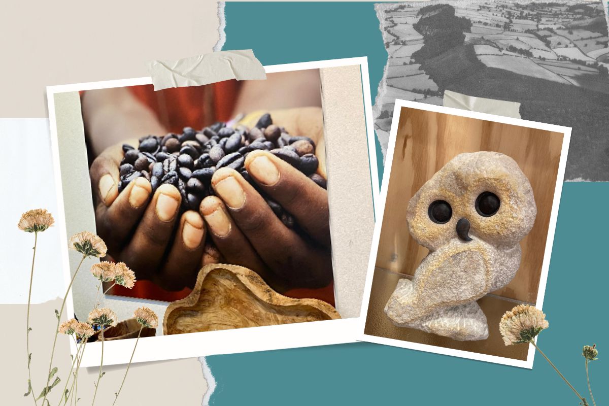 Communicatieadviseur