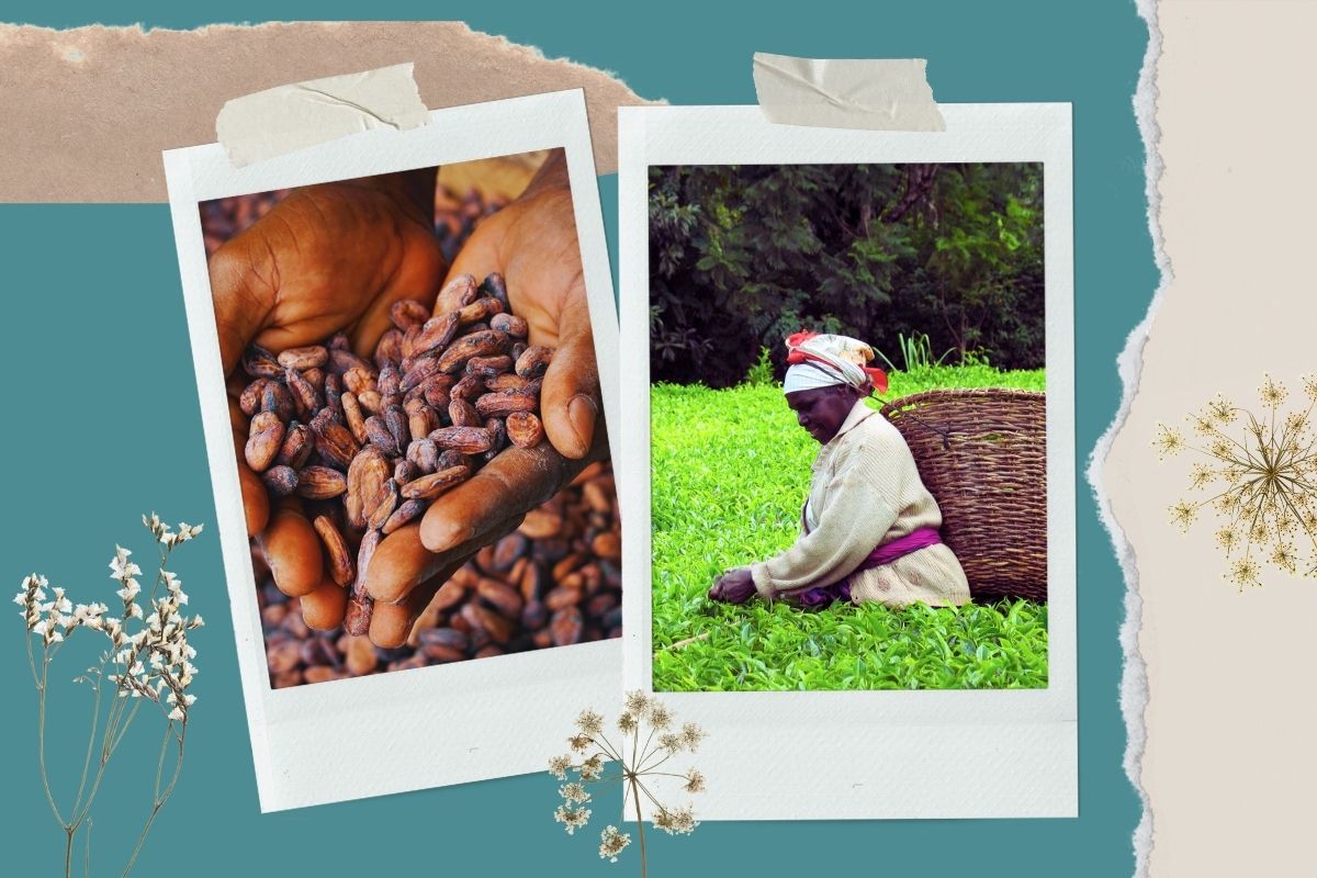 Winkelcoördinator Arnhem