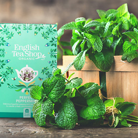 Fairtrade thee - Wereldwinkel Arnhem-Velp